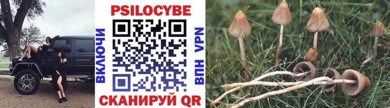 купить закладку Гаврилов-Ям Псилоцибиновые грибы мухоморы